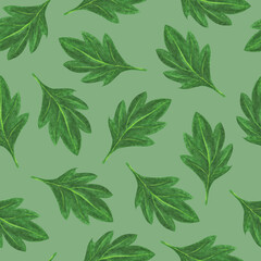 Chrysanthemum Flower Leaves Seamless Pattern. Hand Drawn Floral Digital Paper on Light Green Background.