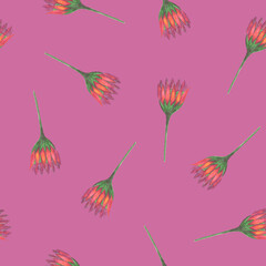 Chrysanthemum Flower Seamless Pattern. Hand Drawn Floral Digital Paper on Purple Background.