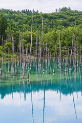 青い池