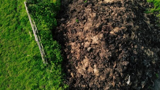 Pile of manure dung in farmers field 