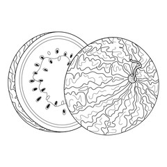 Two watermelon halves. Ripe cut watermelon line art. Hand drawn Trendy doodle style isolated half fruit organic natural dessert, healthy sweet Sliced summer fruit. coloring page Vector illustration