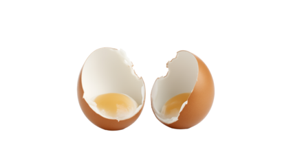 Broken egg cutout. Broken chicken egg on transparent background