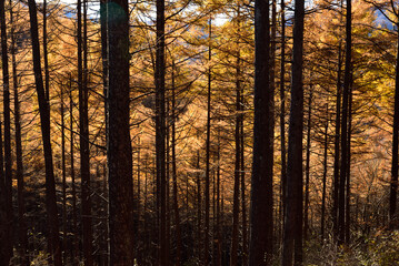 Climbing  Mount Asama-kakushi, Gunma, Japan