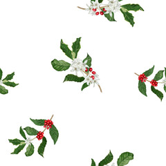 Seamless pattern. Red ripe berries on the branches. The coffee tree. Watercolor illustration. White flowers and green leaves on twigs, plants from a farmer's plantation and roasted coffee beans