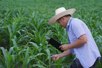 Asian man farmer is at garden, holds smart tablet to inspect growth of plants. Concept , smart farmer, use technology in agriculture to inspect,research and take care of crops.        