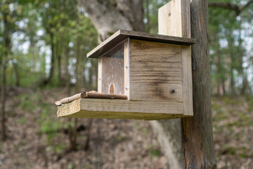 Futterhaus für Eichhörnchen und Vögel aus Holz mit Deckel zum Klappen / Konzept: Kleintiere und Wildtiere im Garten füttern