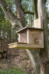 Futterhaus für Eichhörnchen und Vögel aus Holz mit Deckel zum Klappen / Konzept: Kleintiere und Wildtiere im Garten füttern