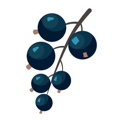 Vector black currant flat icon. Black currant isolated on white background. Berry. flat design element. 