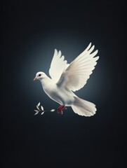 Fototapeta premium White Dove With Olive Branch