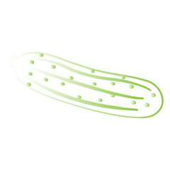 cucumber isolated on white