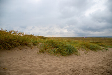 Sand dune with grass reeds on Denmark