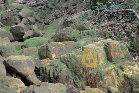 stone and river