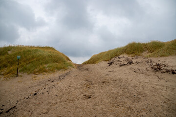 Sand dune with grass reeds on Denmark