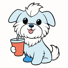 maltese dog drinking on white background
