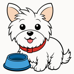 maltese dog drinking on white background