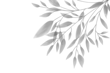 Shadow overlay of tropical leaves on transparent background PNG 