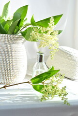 white hat and flowerson a white background 