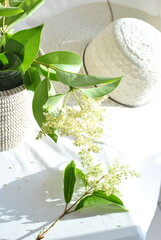 white hat and flowerson a white background 