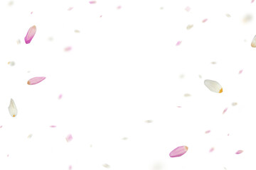 Tulip overlay