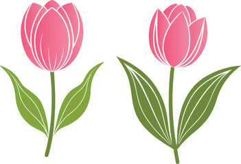 Tulip flower vector art illustration