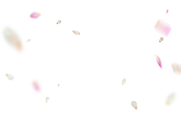 Tulip overlay