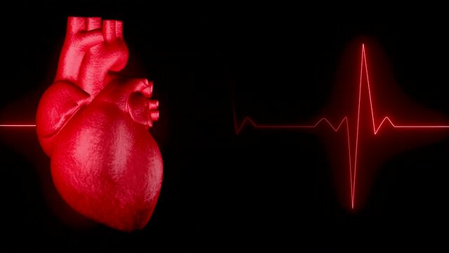 "Heart Beating" Images – Browse 1,882 Stock Photos, Vectors, and Video ...