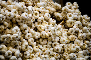  a large quantity of freshly harvested garlic