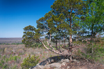 horse guard state park avon connecticut
