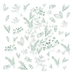 Green with Leaf isolated on white Background