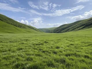 Green meadow hills rolling under a blue sky, ideal for capturing pastoral scenes, outdoor photography, and embracing natural landscapes.