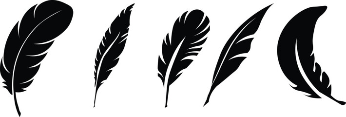 Set of Bird Feather. Feathers vector set in a flat style. Pen icon. Black quill feather silhouette. Plume let collection.vector eps10