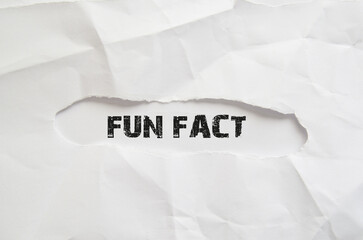 fun fact banner sign
white background