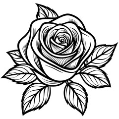 rose with leaves line art vector white background