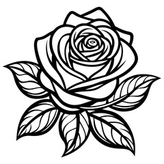rose with leaves line art vector white background