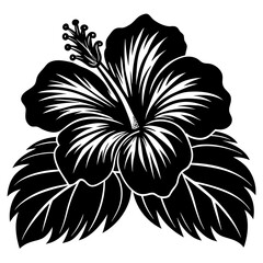 single red hibiscus flowers are blooming