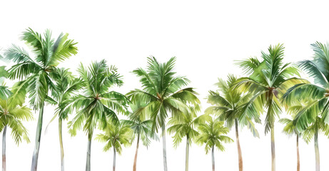 Obraz premium PNG Palm tree line horizontal border backgrounds outdoors nature.