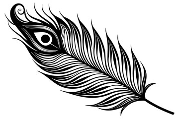 minimalistic black and white peacock feather