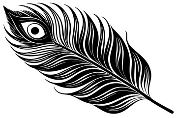 Obraz premium minimalistic black and white peacock feather