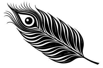 minimalistic black and white peacock feather