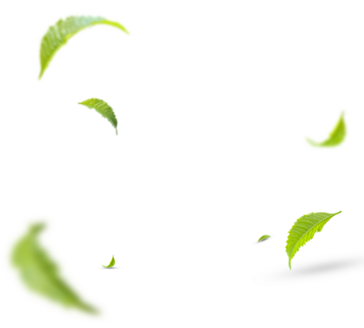 Green Floating Leaves Flying Leaves Green Leaf Dancing, Air Purifier Atmosphere Simple Main Picture.