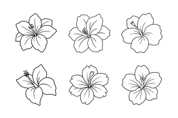 Obraz premium Flower eps bundle