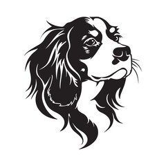 Cavalier King Charles Spaniel image vector isolated on white background