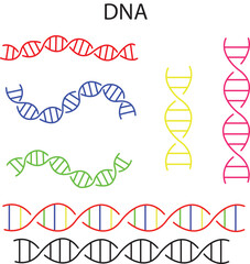 DNA Icons DNA Molecules DNA design in medical, DNA scientific, DNA with Details, DNA sign molecules helix, Medical Science, Graphic geometric, Genetically modified