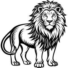 vector lion hand drawn line art isolated silhouet