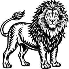 vector lion hand drawn line art isolated silhouet