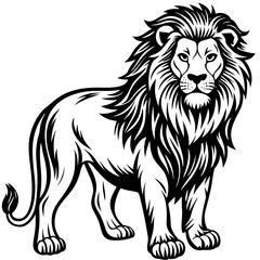 vector lion hand drawn line art isolated silhouet