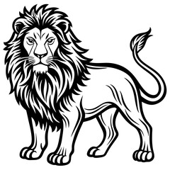 vector lion hand drawn line art isolated silhouet