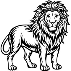 vector lion hand drawn line art isolated silhouet