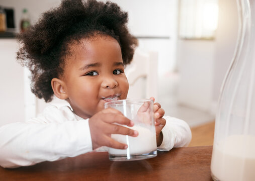 Black girl, kid and drinking milk in home portrait, vitamin d and beverage for growth development. Female person, diet and nutrition for wellness, strong bones and thirsty child for toddler formula