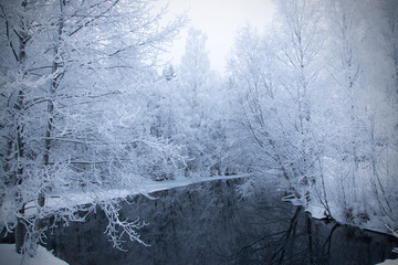 Winter landscape lake